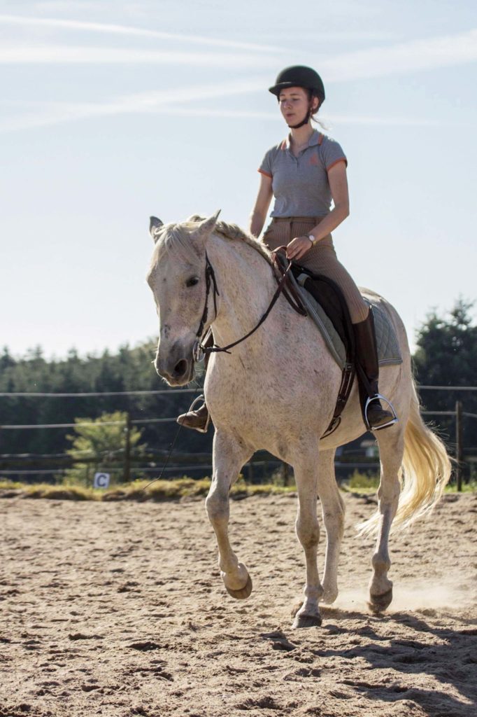 ellen sauer, andalusier, klassisk dressur, centreret ridning, holdbar dressur, glad hest, samling, selvbæring, dressur