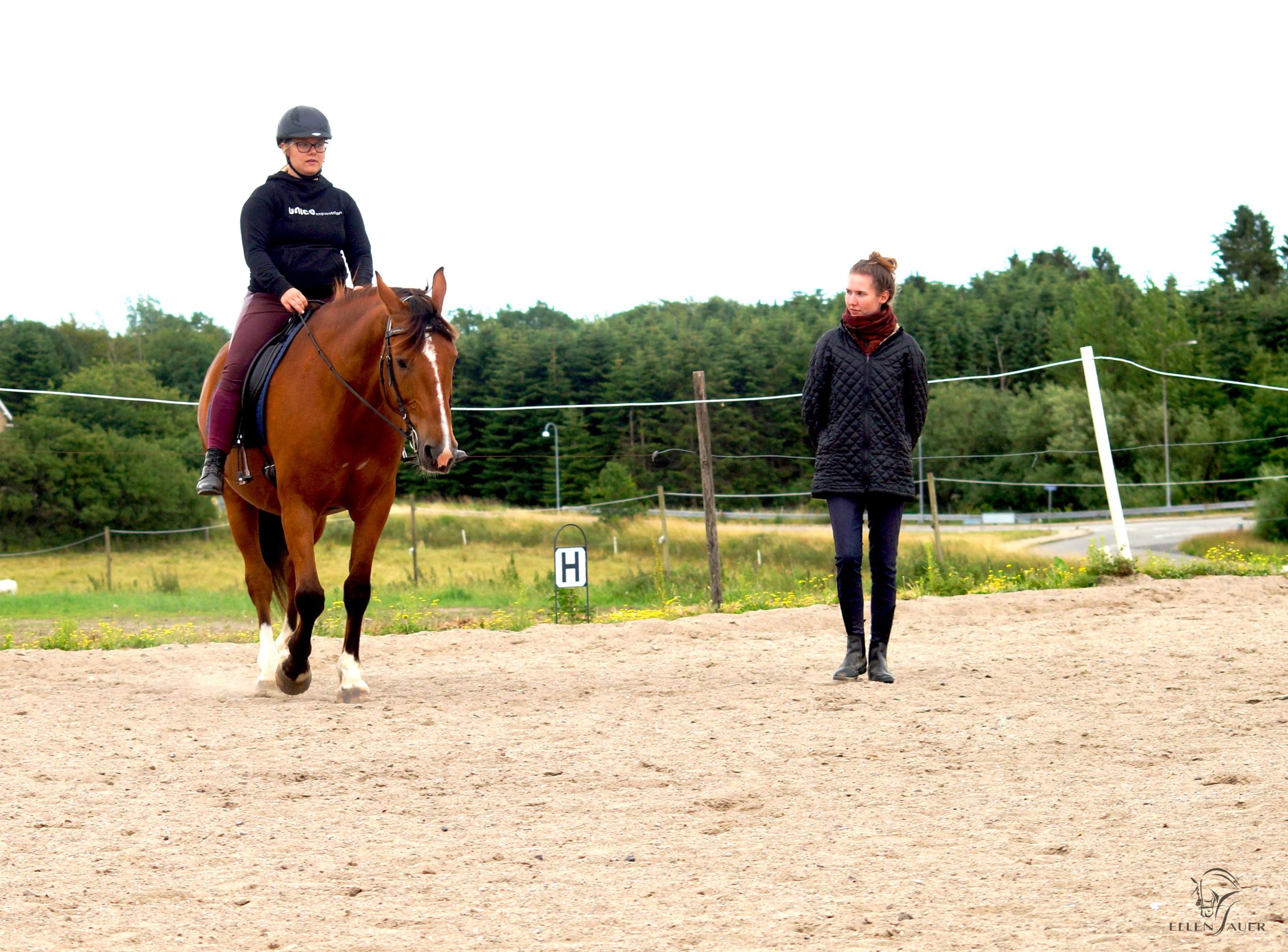 ellen sauer, hestetræning, ridning, dressur, centreret ridning, principper centreret ridning, lektioner, stald rygaard, rideunderviser, rideinstruktør
