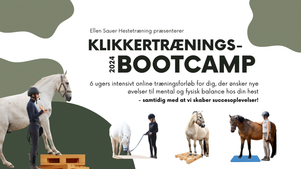 klikkertræningsbootcamp, onlineforløb, banner