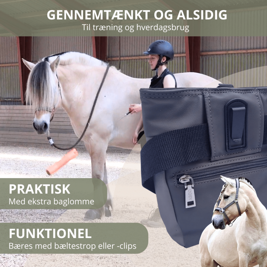 funktionel godbidstaske fra asco, rummelig taske til klikkertræning af heste