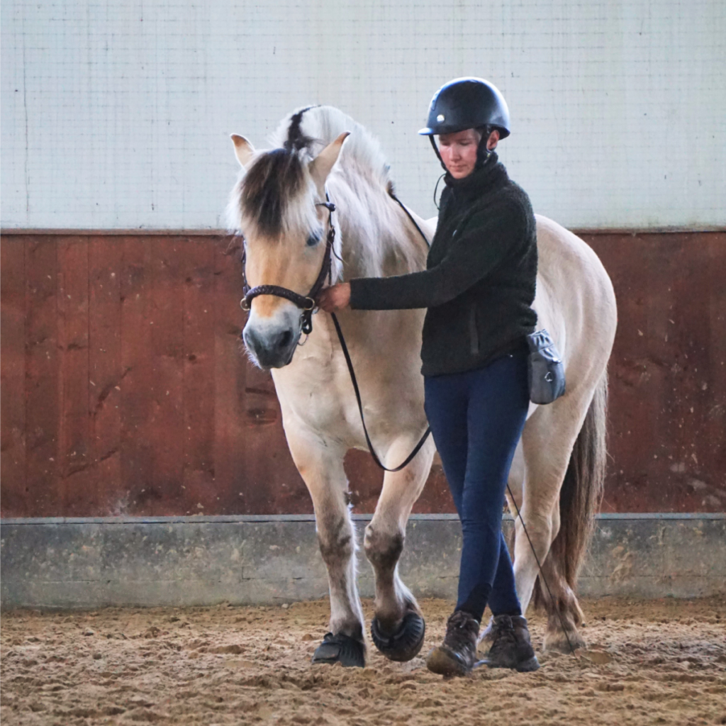 ellen sauer, dressur fra jorden med fjordhest, ecole de legerete uddannelse